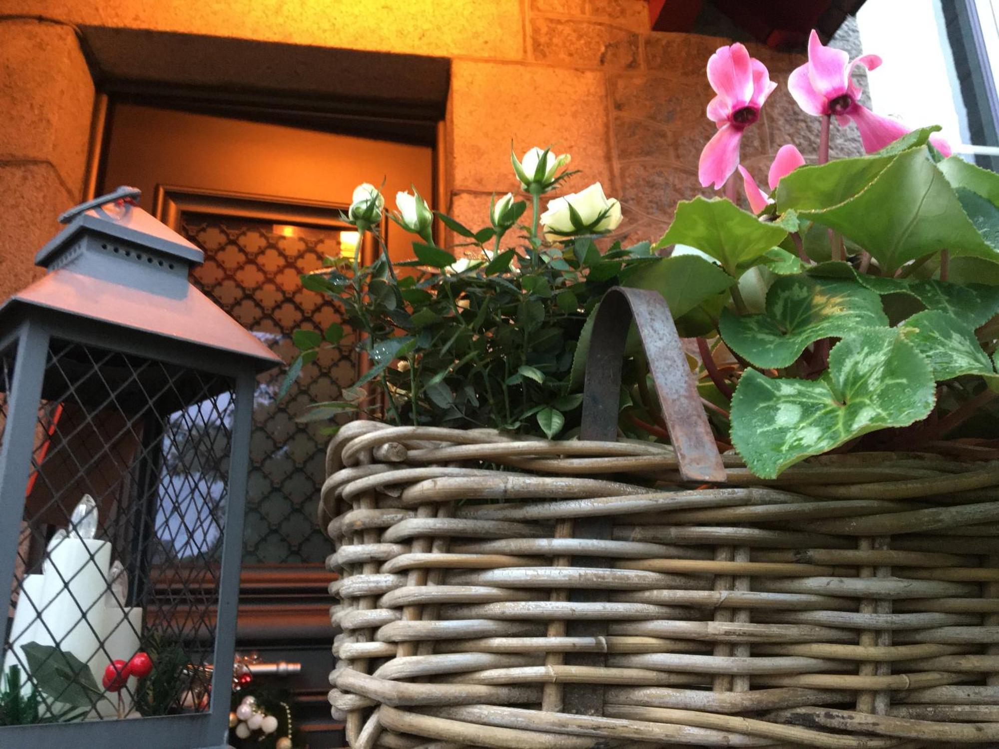 Le Clos Saint-Brice Les Portes du Coglais 外观 照片
